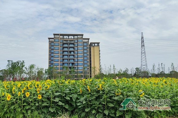 2025年4月大邑县城主要楼盘住宅成交面积情况