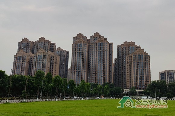 2025年5月大邑县城主要楼盘住宅成交套数情况