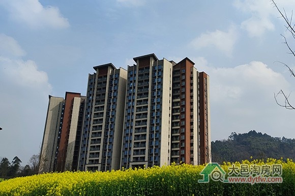 大邑云上旅游度假区云上颐林车位取得销售许可