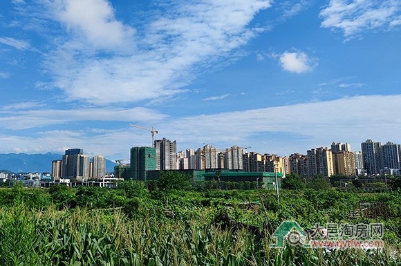 大邑将启动中心城区控制性详细规划编制工作