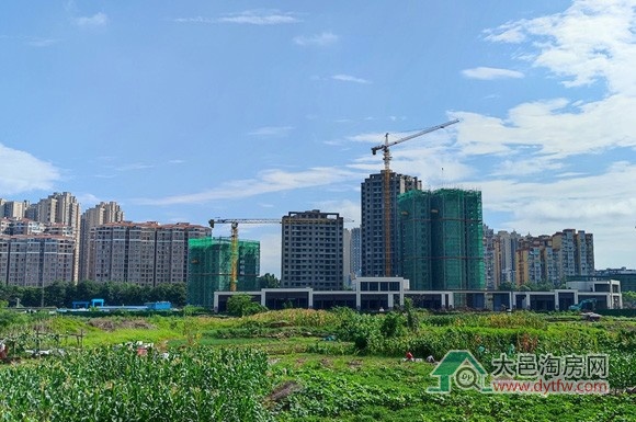 2025年6月大邑县城主要楼盘住宅成交套数情况