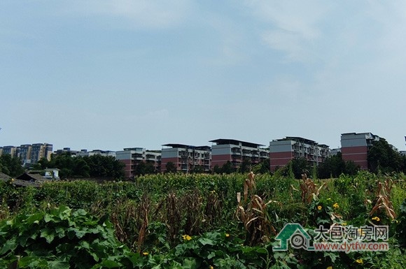 غҵؿӭ¶̬:815ǰ峡