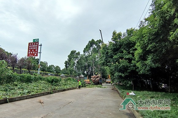 成温邛高速扩容大邑TJ5标段工业区部分9月施工动态