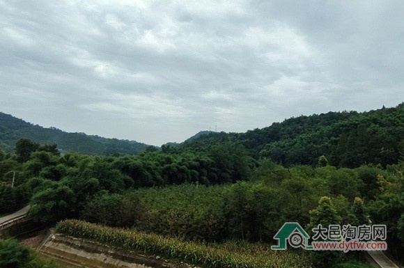 大邑桃花沟片区将启动城市设计编制