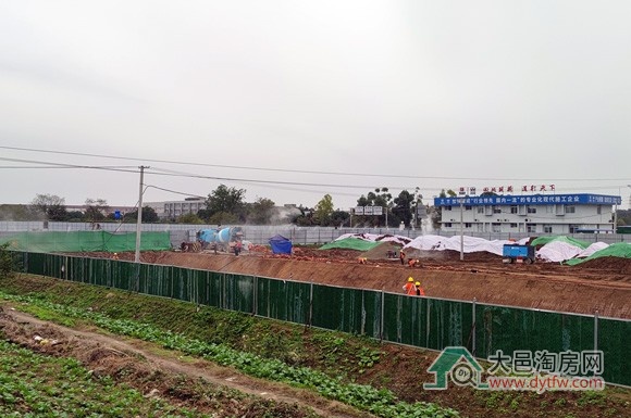 大邑天新大延伸线第二段正式开工 工程建设全面推进