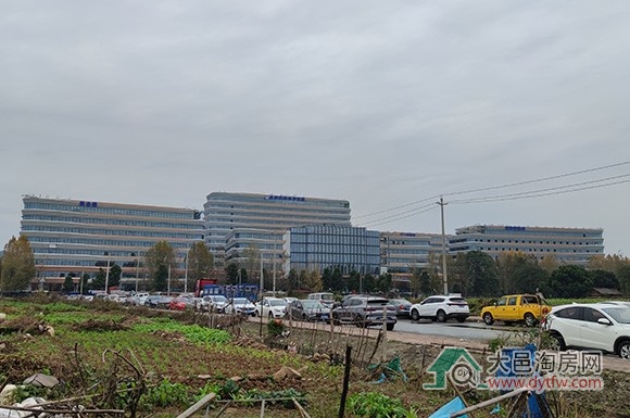 202511³ɶԿѧҽԺչٳ̽׶